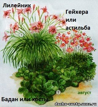 Схема цветника их 3 растений